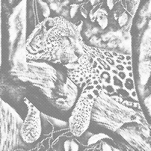 Gesichteter Leopard - Dottingo