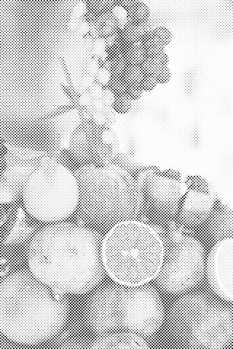 Kokos und Obst - Dottingo