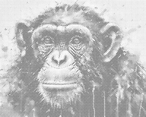 Affe - Dottingo