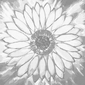 Strahlende Sonnenblume - Dottingo