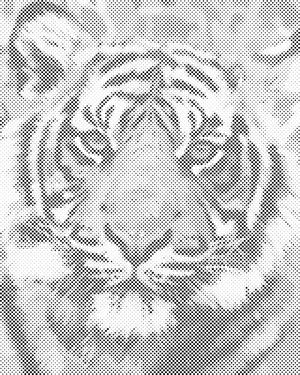 Tigerkopf 2 - Dottingo