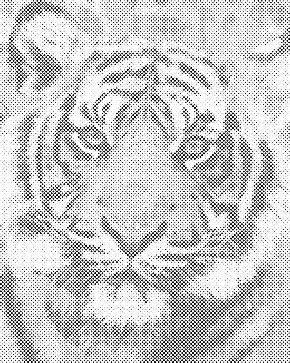 Tigerkopf 2 - Dottingo