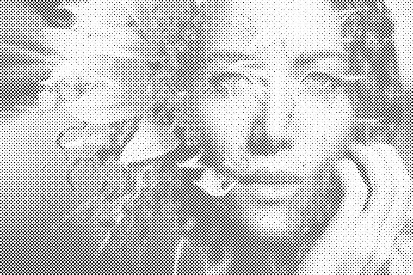 Frau in einer Sonnenblume versteckt - Dottingo