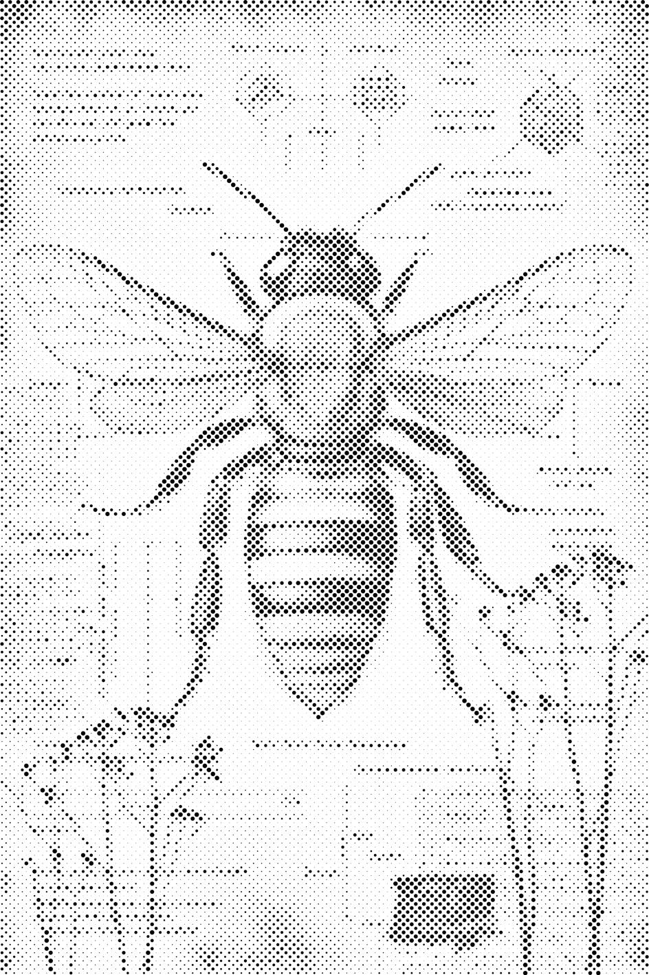 Alles über die Bienen - Dottingo