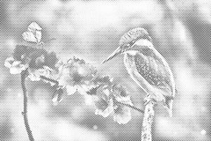 Schmetterling und Fischer - Dottingo
