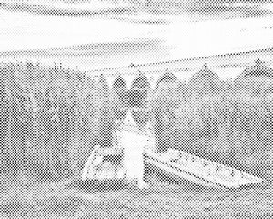 Puszta - Nationalpark Hortobágy - Dottingo