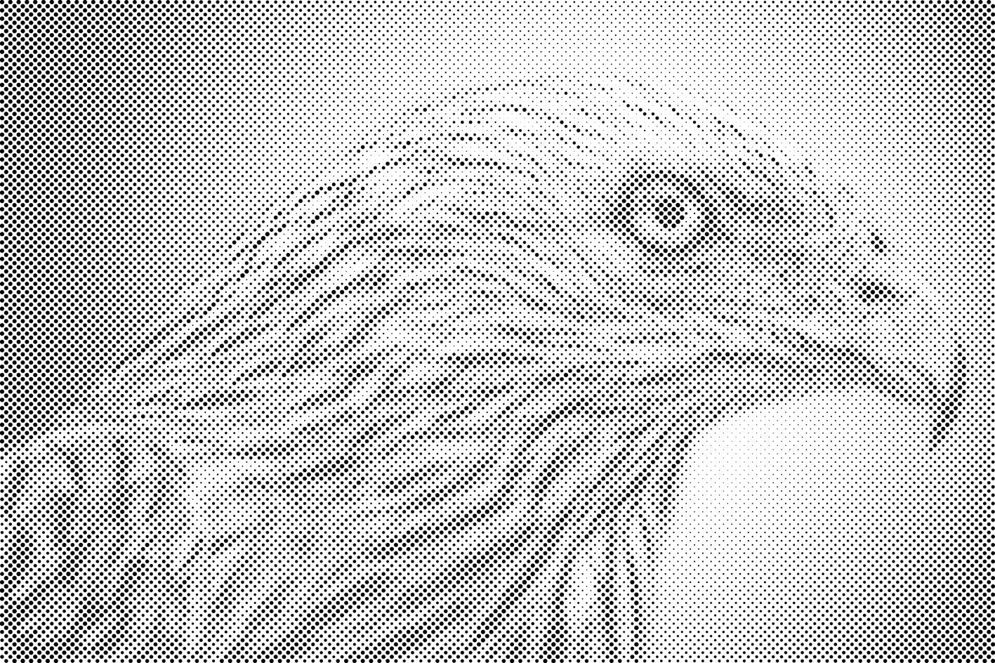 Adler - Dottingo