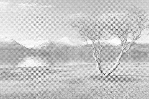 Keswick, England 2 - Dottingo