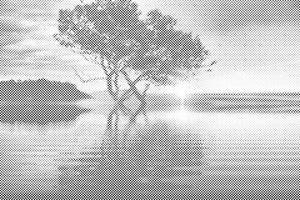 Sonnenuntergang am See - Dottingo