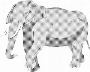 Cartoon-Elefant - Dottingo