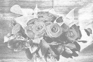 Strauß roter Rosen - Dottingo