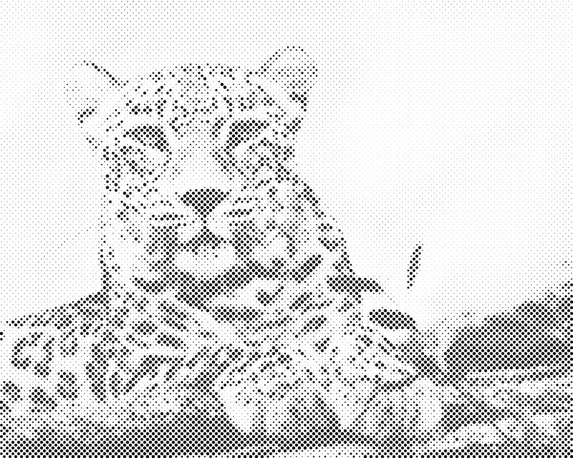 Wilde Katze - Dottingo
