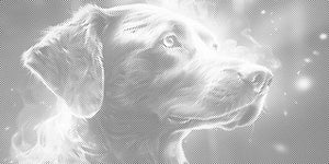 Hund in Regenbogenfarben - Dottingo