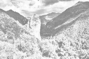 Orsomarso - Dottingo