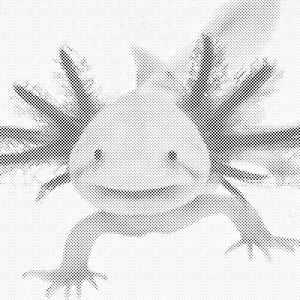 Axolotl 3 - Dottingo