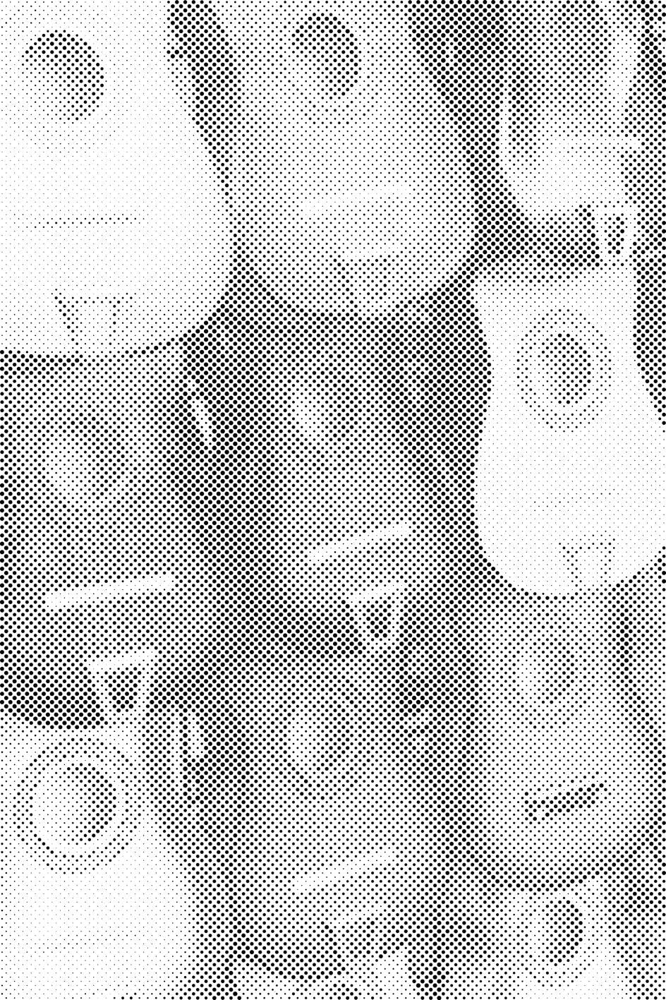 Gitarren - Dottingo