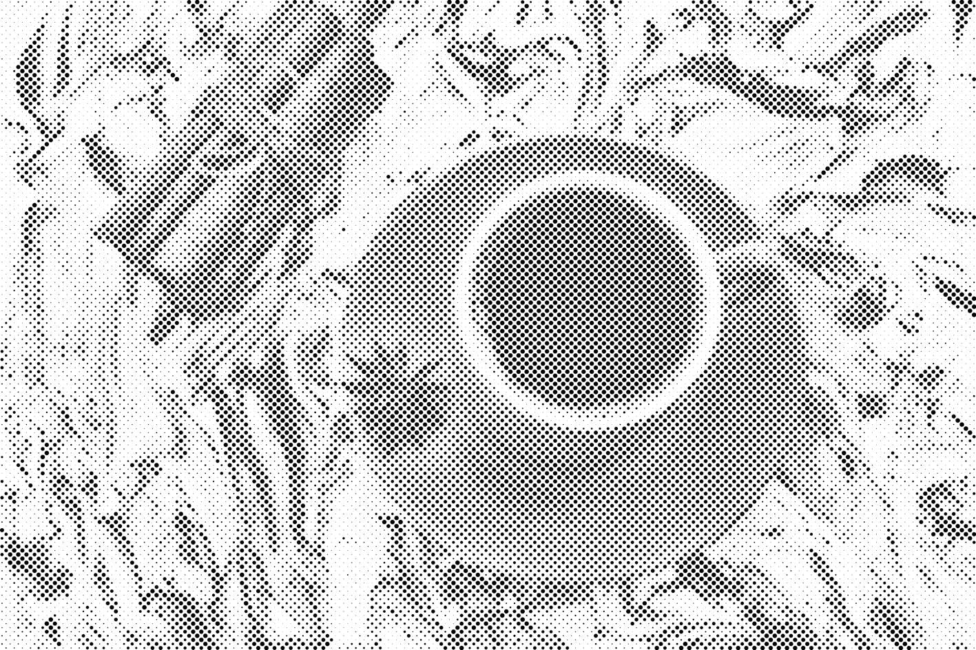 Kaffee mit Zimt - Dottingo