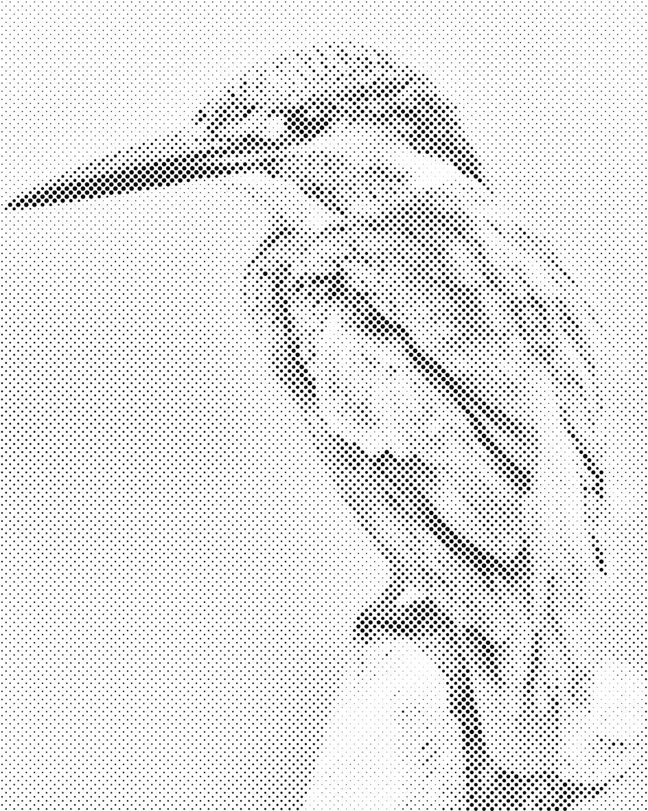 Eisvogel 2 - Dottingo