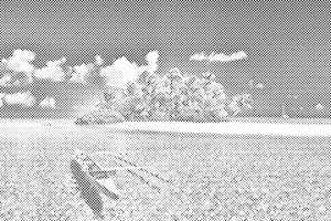 Schöne Insel - Dottingo