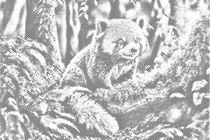 Roter Panda - Dottingo