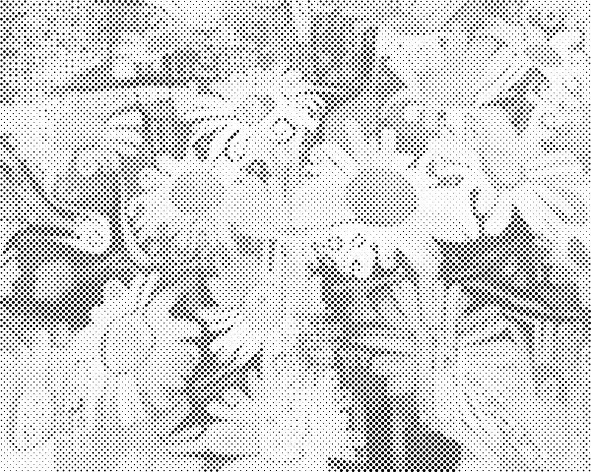 Fröhliches Gänseblümchen - Dottingo
