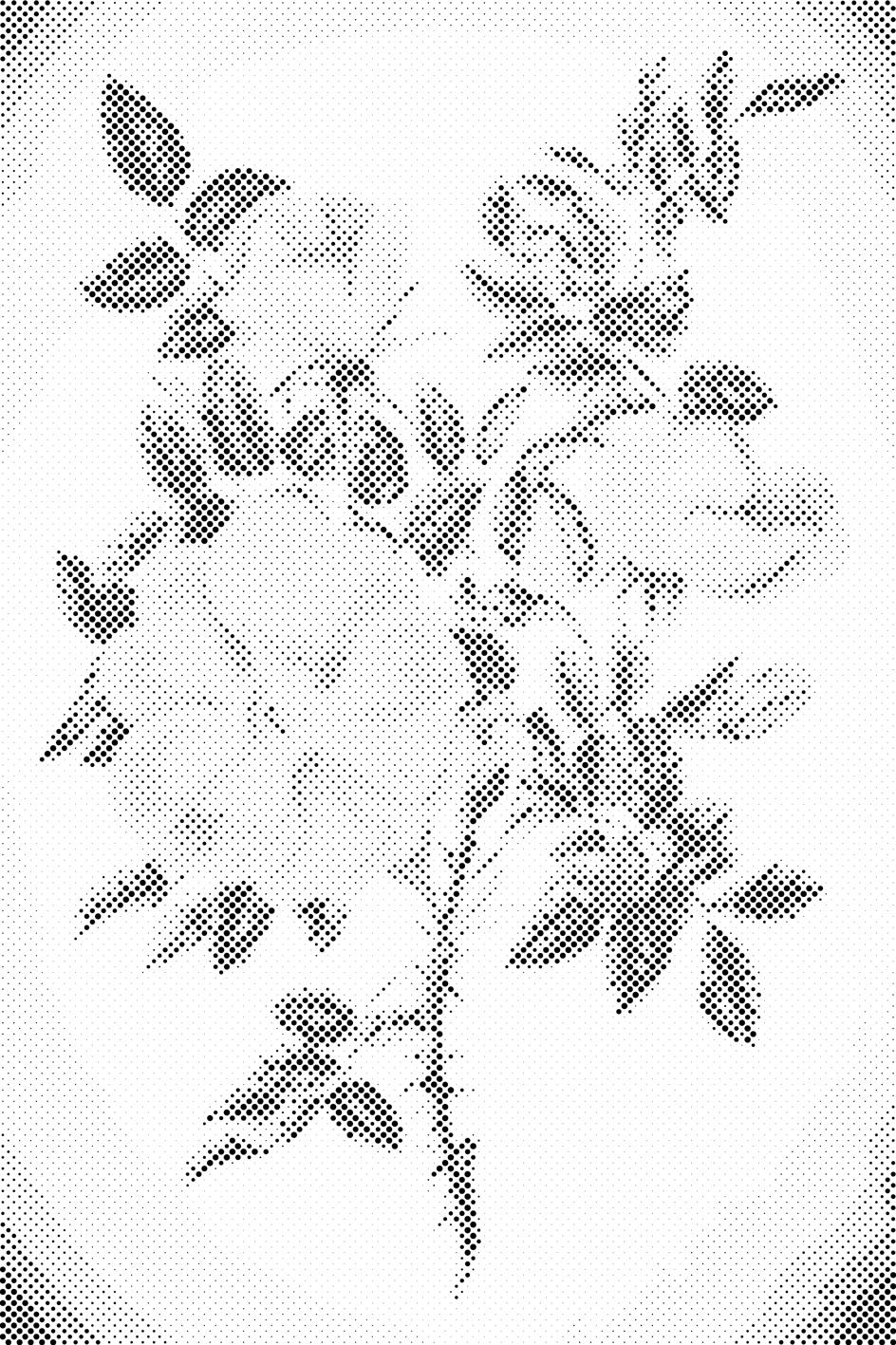 Vintage Blumen III - Dottingo