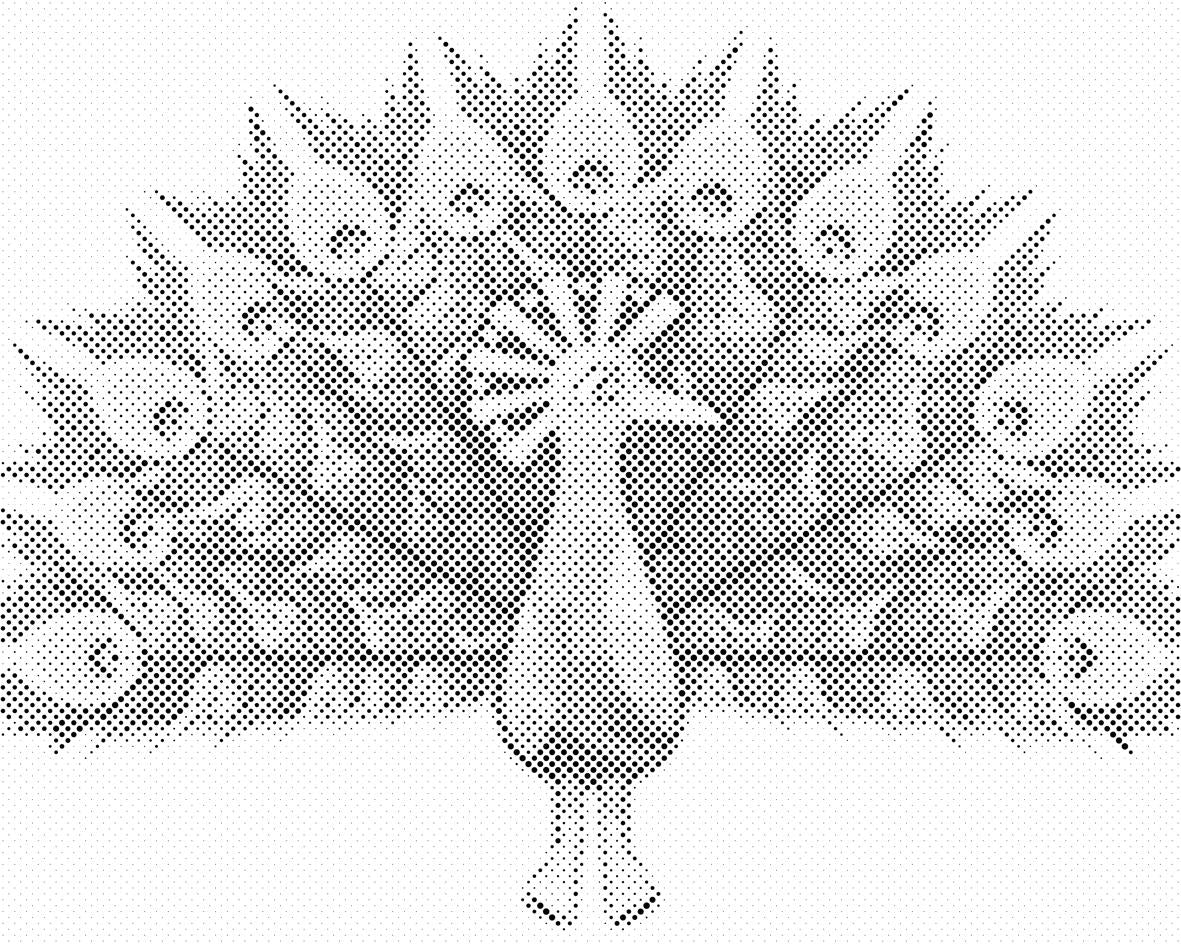 Bemalter Pfau - Dottingo