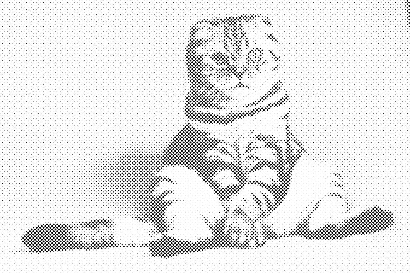 Sitzende Katze - Dottingo