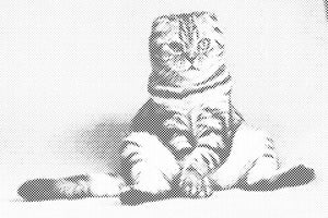 Sitzende Katze - Dottingo