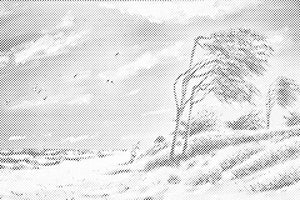 Verlassener Strand - Dottingo