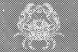 Krebs - Dottingo