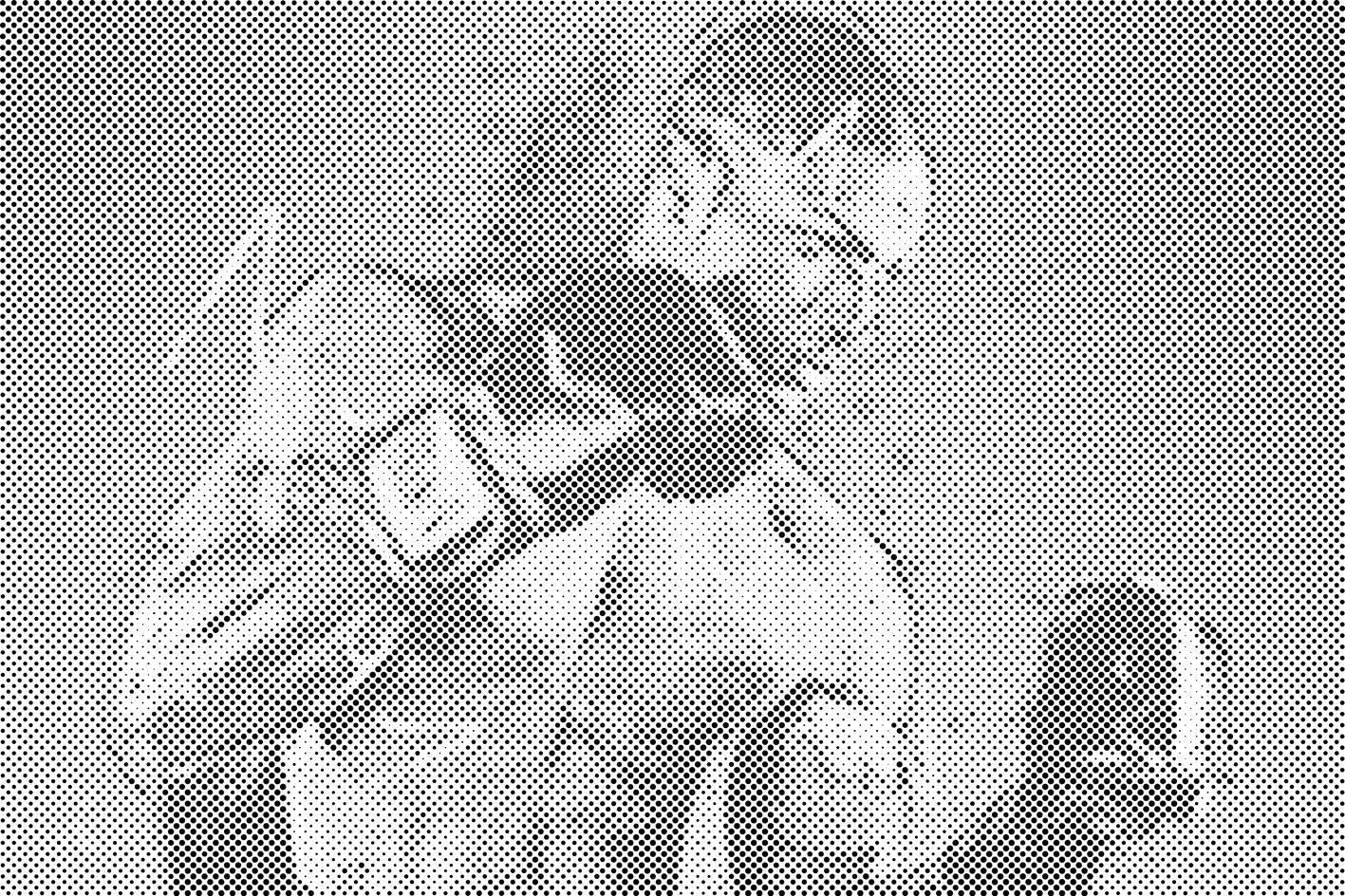 Boxer-Abbildung - Dottingo