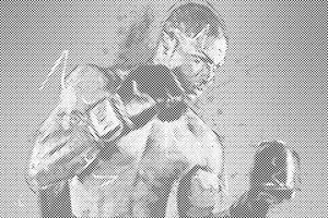 Boxer-Abbildung - Dottingo