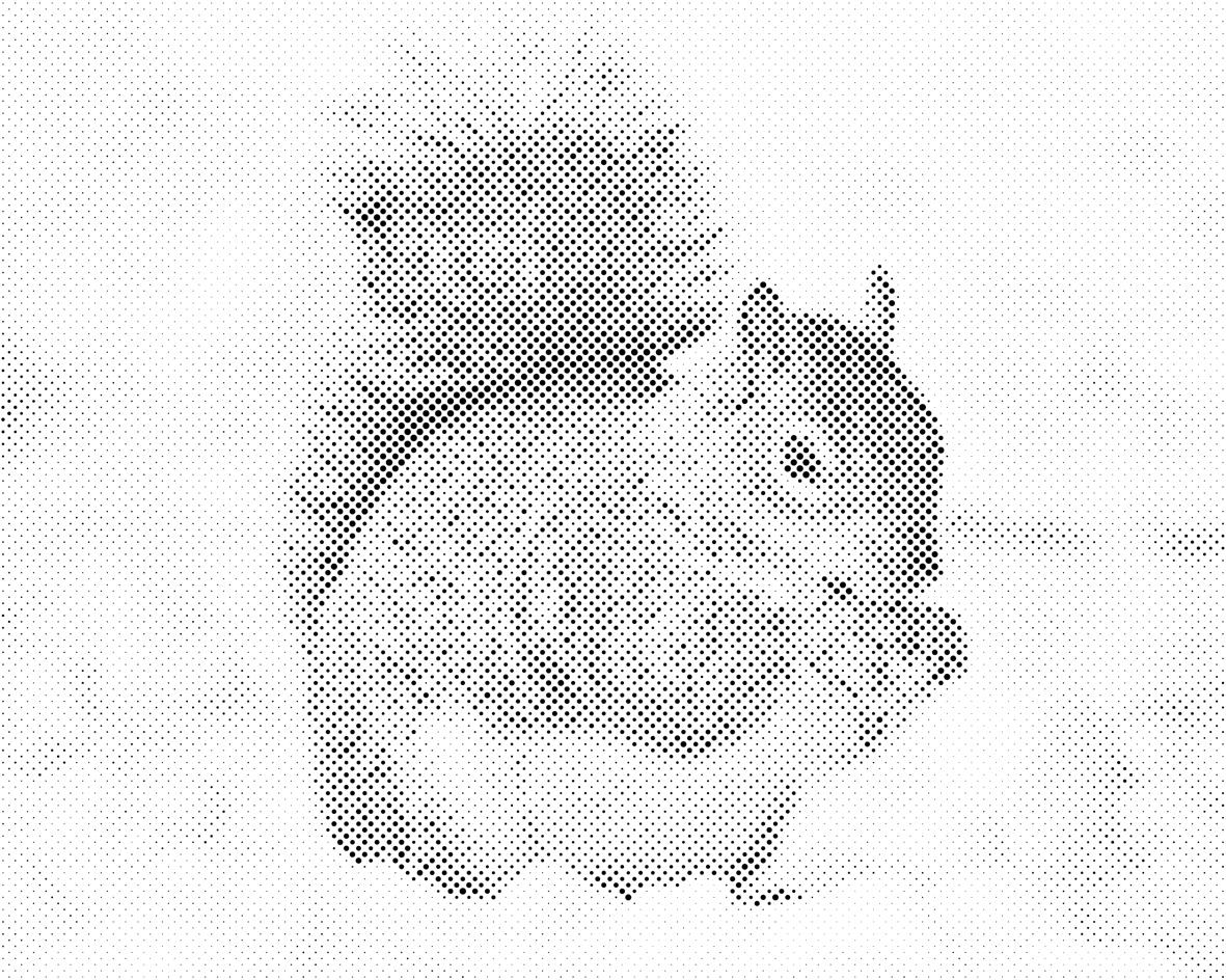 Eichhörnchen mit Nuss - Dottingo