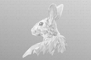 Vektor Hase - Dottingo
