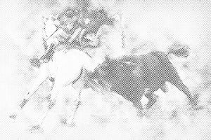 Stierkampf - Dottingo