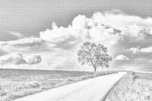 Verlassener Baum - Dottingo