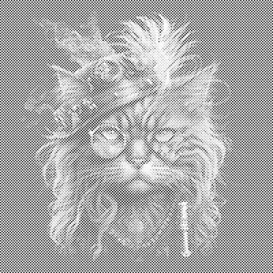 Punk Katze - Dottingo
