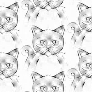 Mürrische Katzen - Dottingo