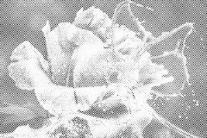 Rose und Schmetterling aus Tropfen - Dottingo