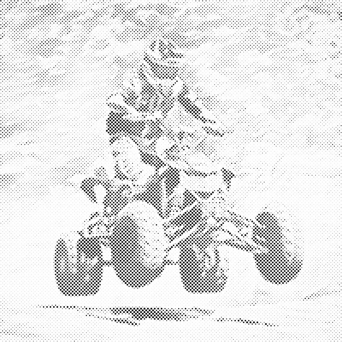 Adrenalin auf vier Rädern - Dottingo