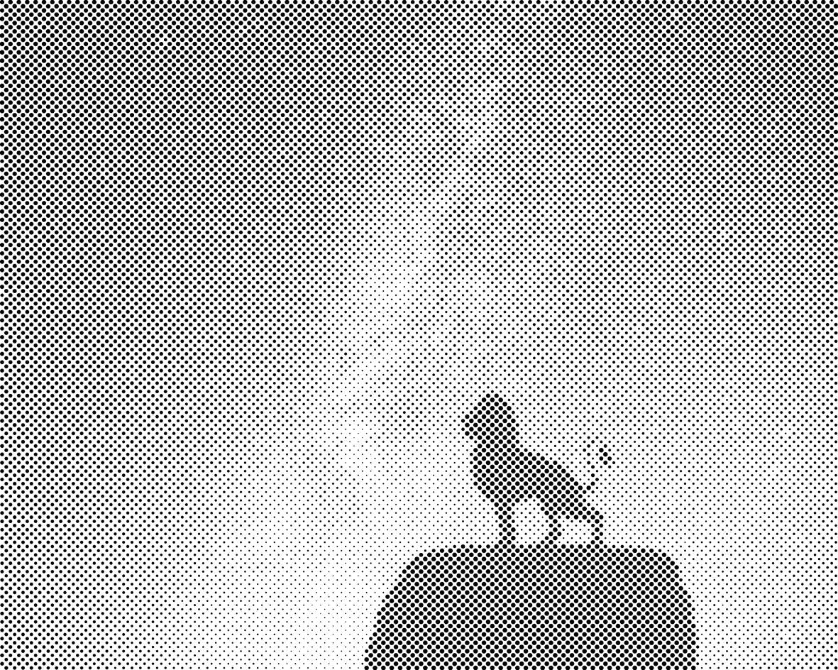 Löwe auf einem Felsen - Dottingo