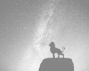 Löwe auf einem Felsen - Dottingo