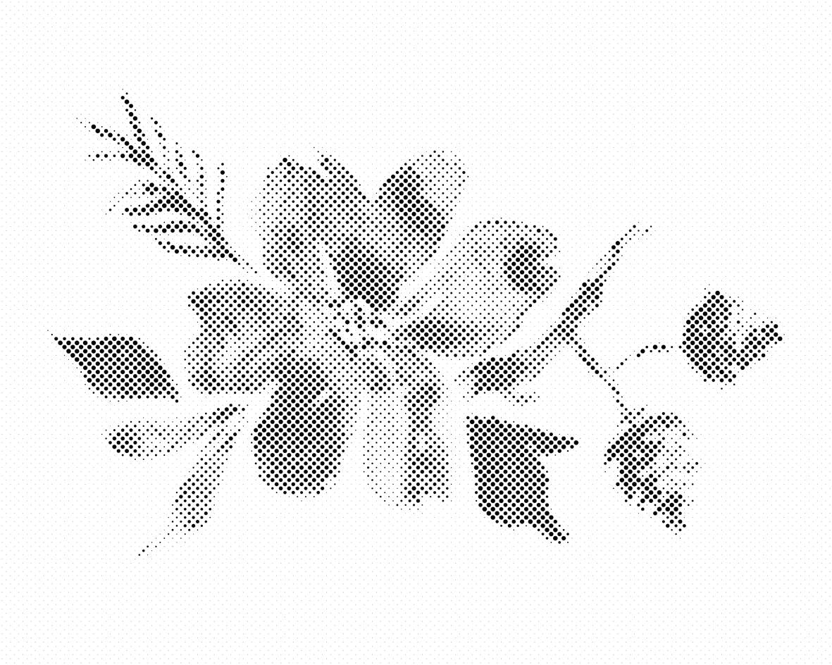 Skizze einer Blume - Dottingo