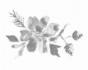 Skizze einer Blume - Dottingo