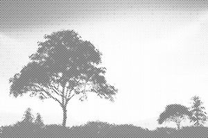 Natur bei Sonnenuntergang - Dottingo