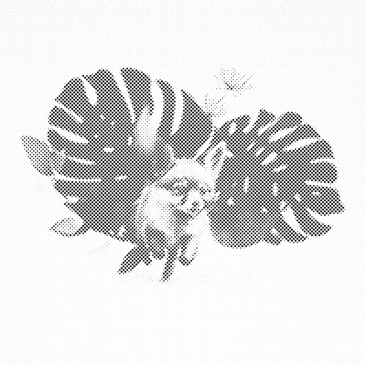 Fuchs und das Fensterblatt - Dottingo