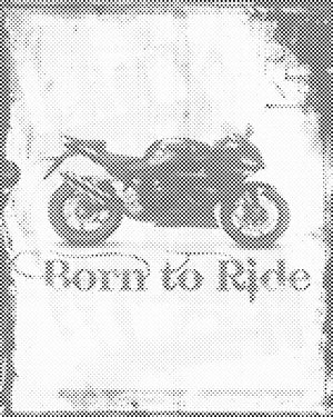 Born to Ride - Dottingo