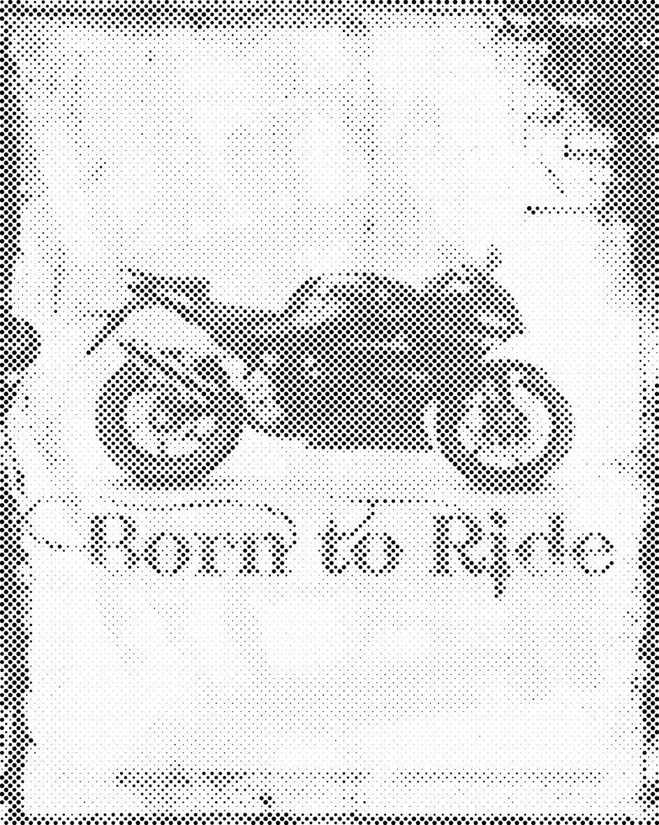 Born to Ride - Dottingo