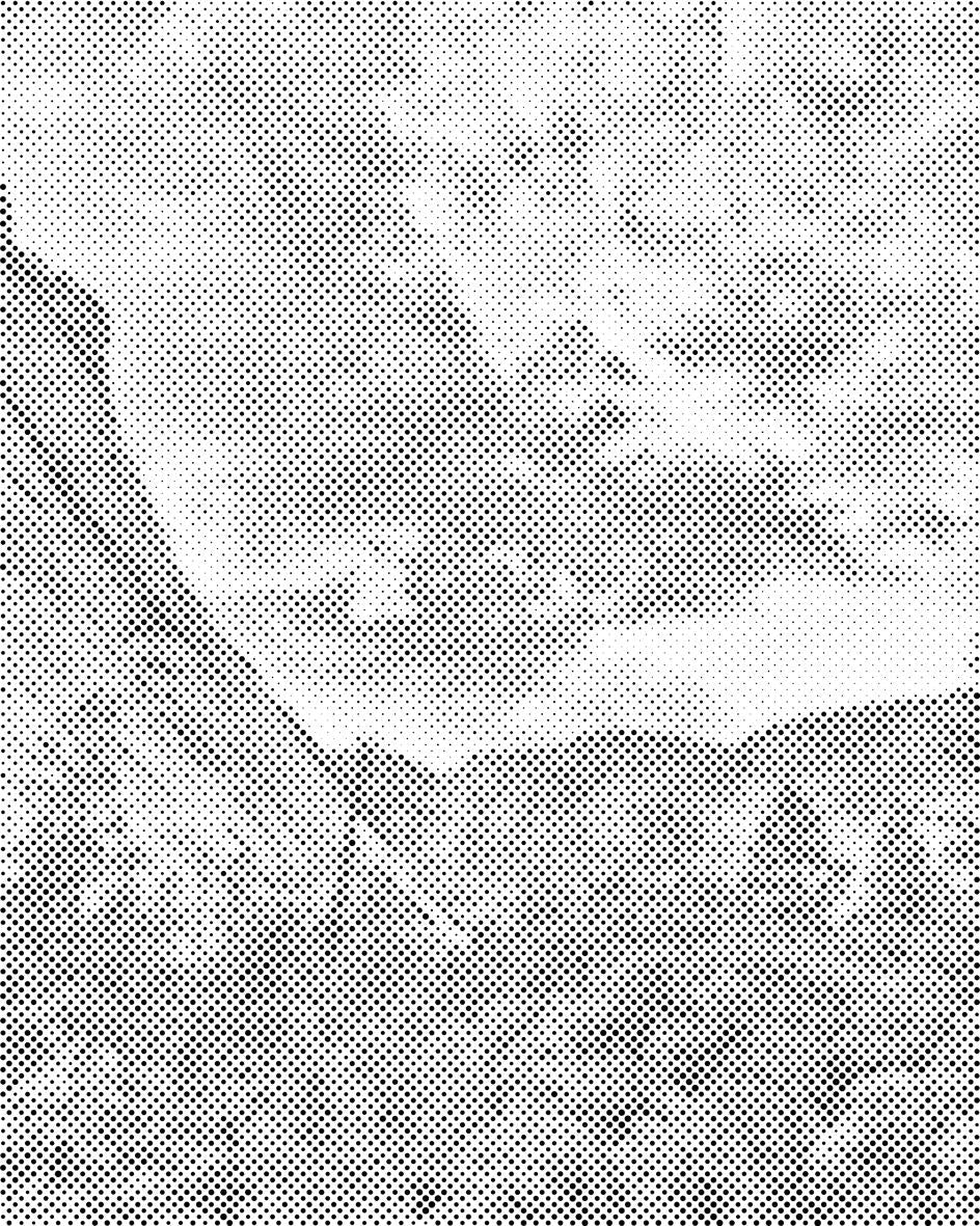 Yosemite Nationalpark - Dottingo
